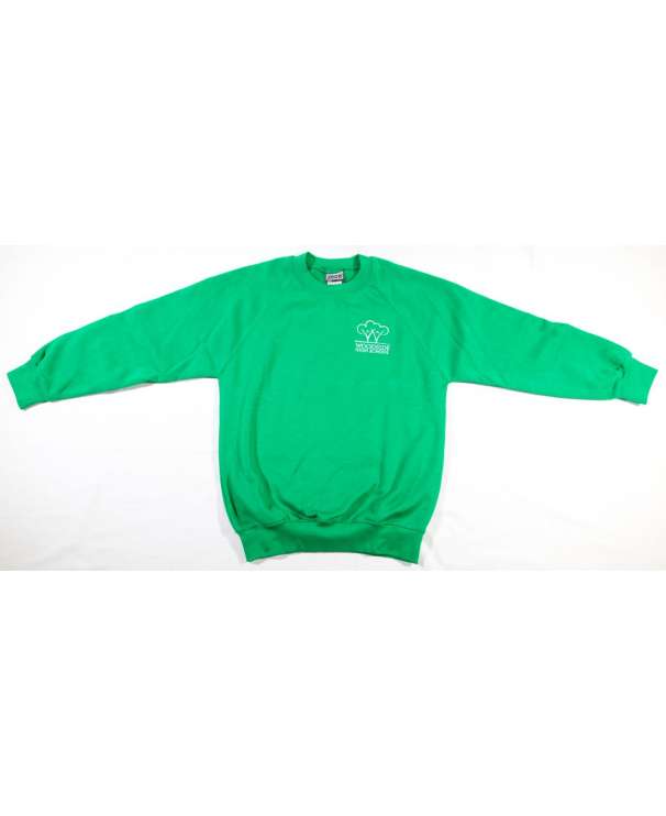 Boys Crew Neck Sweatshirt with Emb Logo